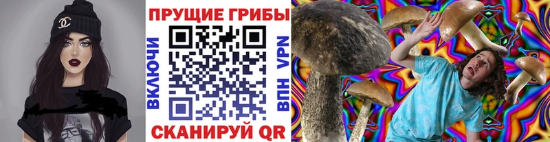 где найти наркотики  Дедовск  Псилоцибиновые грибы мухоморы 