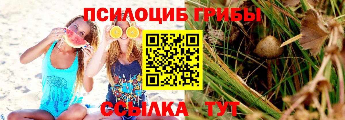 Галлюциногенные грибы ЛСД  Вход с VPN  Дедовск 